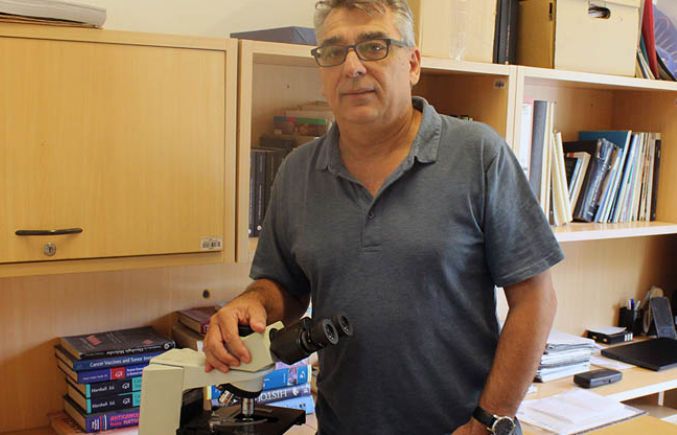 ¿Qué es un atlas de líneas celulares y por qué es vital para curar el&nbsp;cáncer?