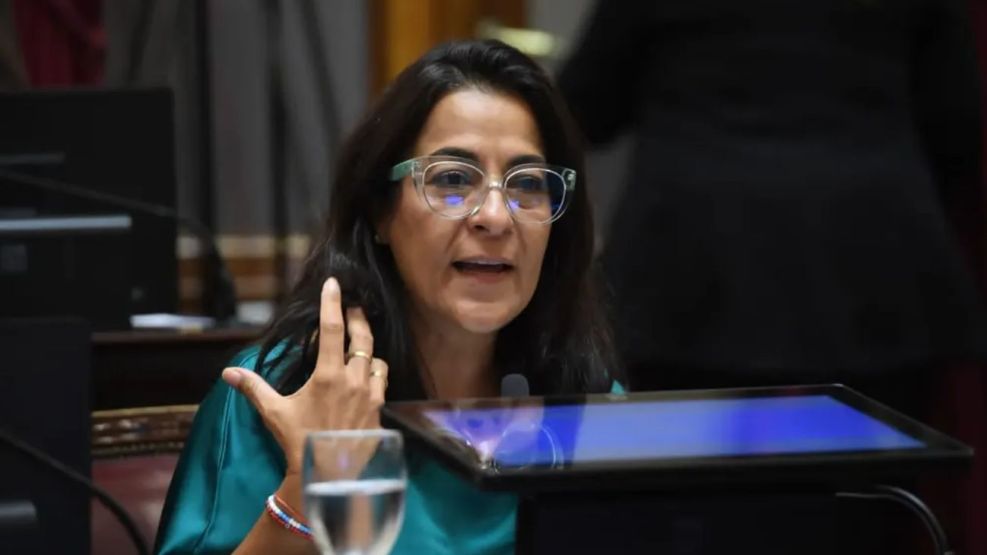 Carolina Moisés: “Milei agrede para tapar la falta de&nbsp;resultados”
